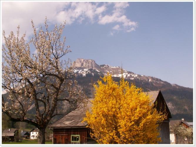 Ferienwohnung Haus Einhirn Altaussee Zewnętrze zdjęcie