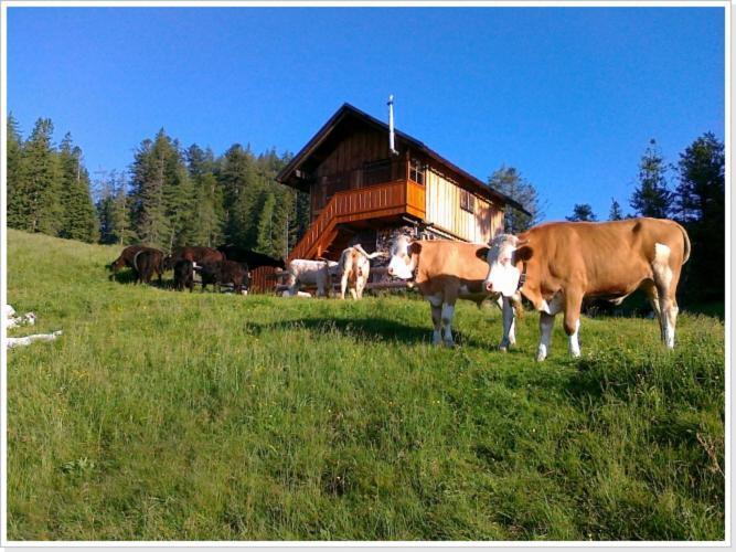 Ferienwohnung Haus Einhirn Altaussee Zewnętrze zdjęcie